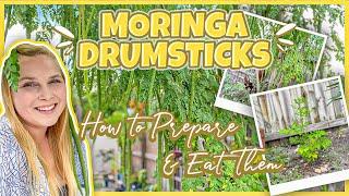 Moringa Drumsticks | How To Harvest, Prepare, & Eat The Moringa Tree Seed Pods