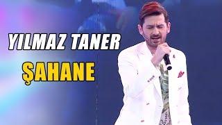 Yılmaz Taner - Şahane