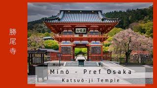 Japan - Pref Osaka - Mino - Katsuou ji Temple (4K)