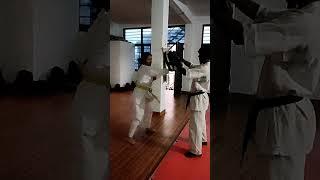 Puch and kick practice. #karate #taekwondo #judo #fitness #martialarts #mma