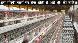 50 लाख का Egg Poultry Farm Business Plan | Layer Poultry Farming