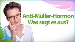 Anti Müller Hormon (AMH) und Kinderwunsch  Was sagt es über die Fruchtbarkeit aus? 