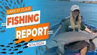 The Lake St. Clair Fishing Report 8/14/2024