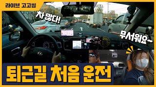 [라이브 고고씽]  후와~ 도로는 처음인데~~