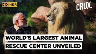 India's Prime Minister Modi Inaugurates Vantara: World's Largest Animal Rescue Centre | 4K Video