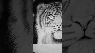 Painting the beautiful tiger #chiaroscuro #painting #drawing #tiger #black&white #art #techno #short