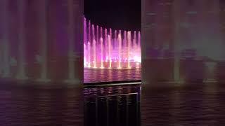 The pointe fountain show Dubai ##beautiful #amazing #short