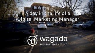 A Day in the life of a Digital Marketing Manager | SEO St Albans