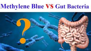 Discover How Methylene Blue Impacts Your Microbiome