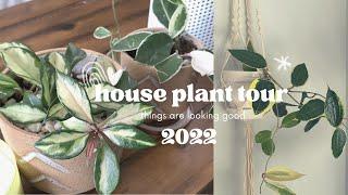 houseplant tour 2022! | I am back again with my best plants