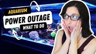 Aquarium Emergency Plan  What to Do During a Power Outage