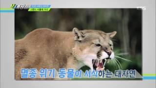 VJ 특공대 - 미국 서부의 대자연, 그랜드 서클에 가다 1. 20160520