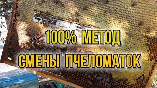 Изолятор Миленина 100% замена маток в основных семьях, методика борьбы с клещом Варроа