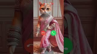 My baby is calling ||MI telephone sound effect|| #calls #cat