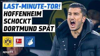 Borussia Dortmund - TSG Hoffenheim | Bundesliga Tore und Highlights 14. Spieltag