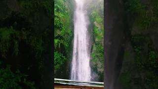 Paglajhora Falls #paglajhora #waterfalls #falls #kurseongtour