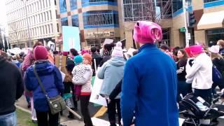 Womens March on Sacramento   Jan 21, 2017