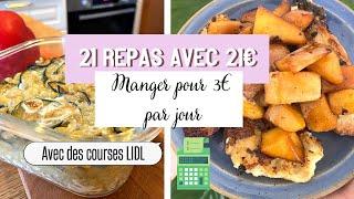 Manger avec 1€ par repas | Une semaine d'idées repas à petit budget en pleine inflation | JOUR 3