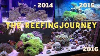 Shallow Reefing-My Reef Tank Journey 2014 2018