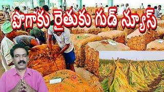 పొగాకు రైతుకు మంచి రోజులు .. Tobaco Exports Amazing Agriculture Technology