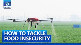 How To Tackle Food Insecurity With Agritech In Africa - Analyst