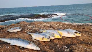 PESCARIA de COSTÃO com ISCA NATURAL e ATRATIVOS FLUTUANTES!!! ASSIM FICA FÁCIL pegar MUITOS PEIXES.