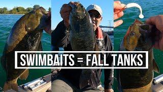 Swimbaits for big Fall Smallies - Lake Ontario Smallmouth Bass 2021