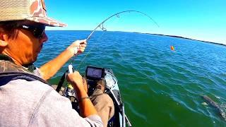 FOUR HOURS Of BIG Kayak Catches (Grouper, Cobia, Red Drum, Snook, Tarpon)