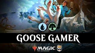 IT'S LOOSE  Simic Ramp | WOE Standard