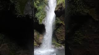 Pelling Sikkim #travel #nature #shorts #mountains #waterfall #buddha #relaxing #sikkim