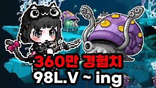 [메이플랜드] 메랜 스트리머의 술먹방