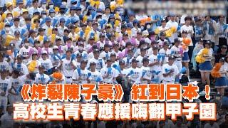 《炸裂陳子豪》紅到日本！高校生青春應援嗨翻甲子園