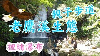 老鷹溪步道|全家戶外旅遊玩水消暑好去處|新竹尖石