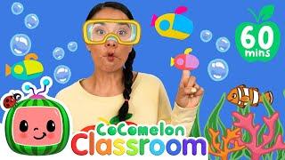 Best Crafts For Kids  - Learn Colors with Ms. Appleberry | CoComelon Classroom Learning for Toddlers