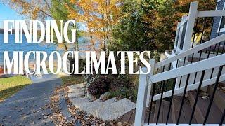 Creating Microclimates in Your Garden