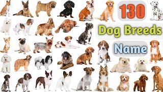 Dog Breeds Vocabulary ll 130 Dogs Breeds Names In English With Pictures ll 100 Popular Dogs