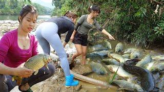 TIMELAPSE: How to Fishing in The Wild, Harvesting Many Big Fish, Sell Fish At  Market | Girl Fishing