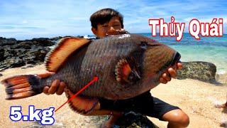 Thủy Quái 5 KG Của Biển Cả | Bữa Tiệc Chia Tay Biển Đảo Sang Vlog ( phần Cuối)