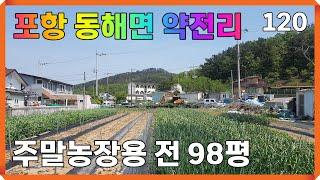 포항토지 동해면 약전리 영일만대교 인근 주말농장 투자 토지매매 120