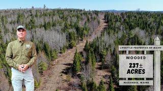 237± Acre Wilderness Retreat | Maine Real Estate