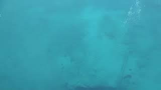 Free diving air pocket at Morrison Springs in small cave