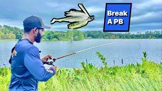 3 God Tier Swim Jig Retrieves Pros Don't Tell Bank Anglers About| Bank Fishing Tips