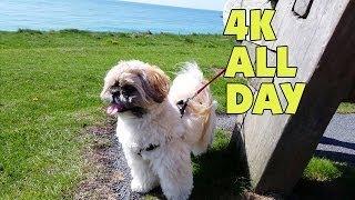 Geek Vlog #152 - Samsung Galaxy S5 4K All Day