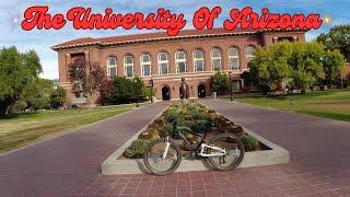 Exploring The University Of Arizona