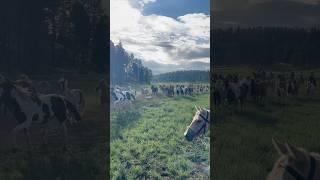 ranch vlog i never posted! #throwback #summer #duderanch #horseranch #horseriding #trailride #vlog