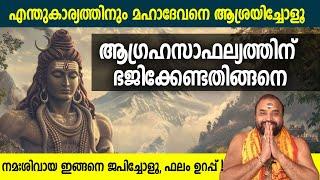 ആഗ്രഹസാഫല്യത്തിന് മഹാദേവനെ ഭജിക്കേണ്ടതിങ്ങനെ #mahadeva  #mahadevatemple #shiva