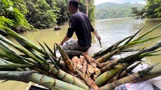 Cực Phẩm Của Rừng Cua Đá Bún Riêu / Wild crab noodle soup