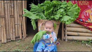 Simple way to make pickled vegetables by a single mother in the highlands