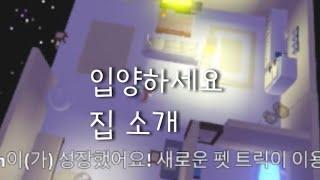 입양하세요 집 소개  | 슈링