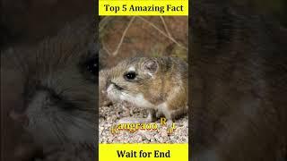 Top 5 Amazing Facts   #facts #5amazing #amazingfact #viral #animals#new  #easyfacts #5amezingfacts